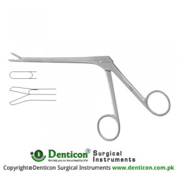 Love-Gruenwald Leminectomy Rongeur Down Stainless Steel, 15 cm - 6" Bite Size 3 x 10 mm